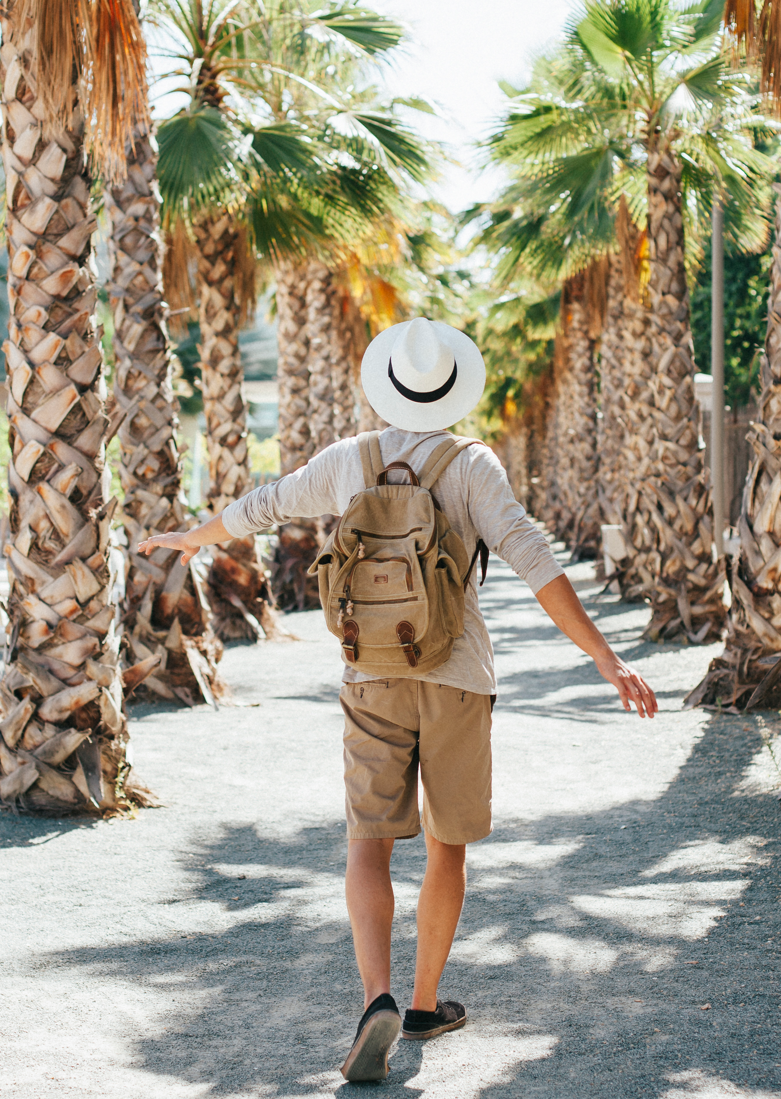 traveler-walking-through-palm-trees